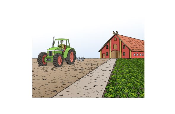 Illustration - Gemüsefelder mit Traktor und Bauernhof