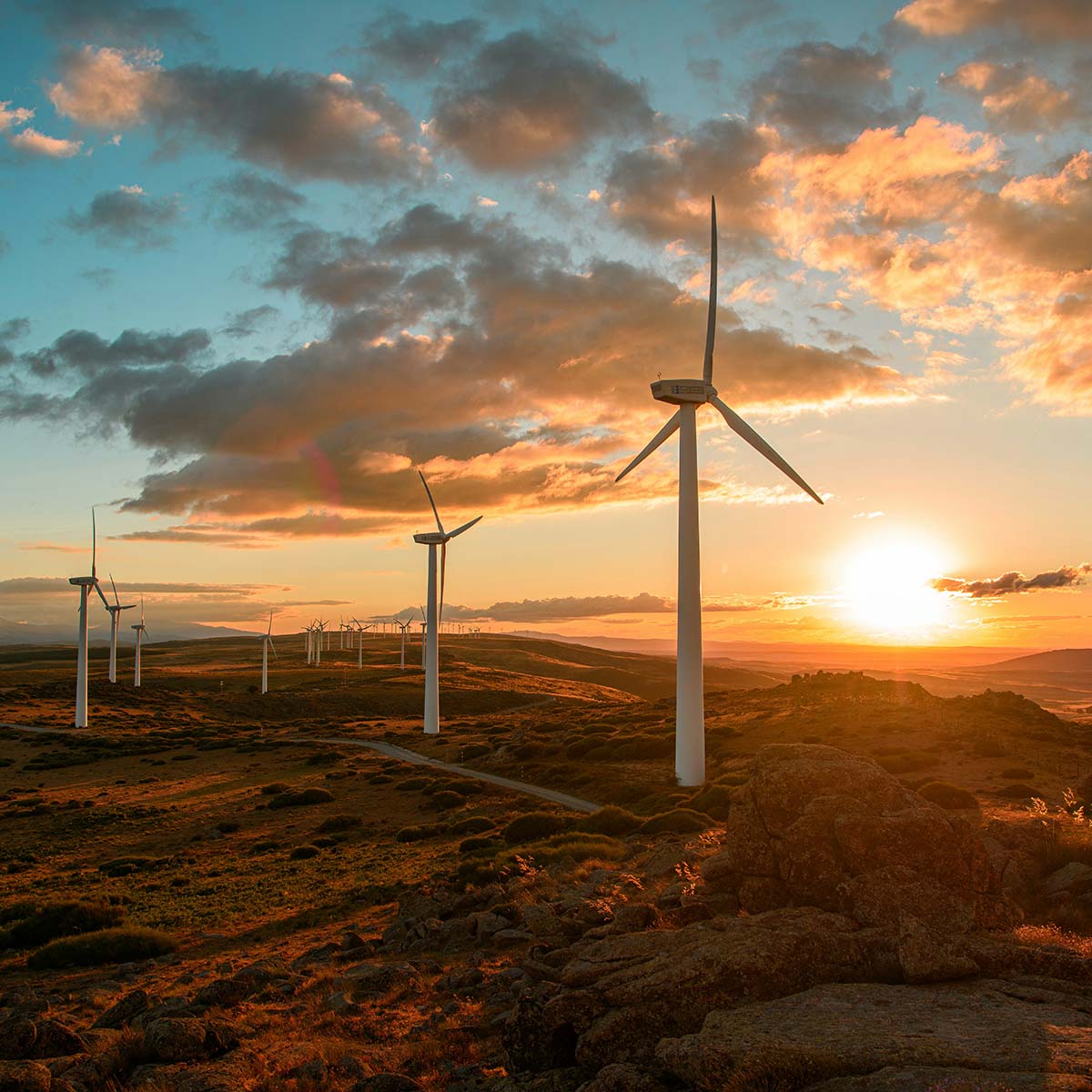 Blick auf Windmühlen im Sonnenuntergang, als Symbol für effiziente Unternehmen und Nachhaltigkeit.