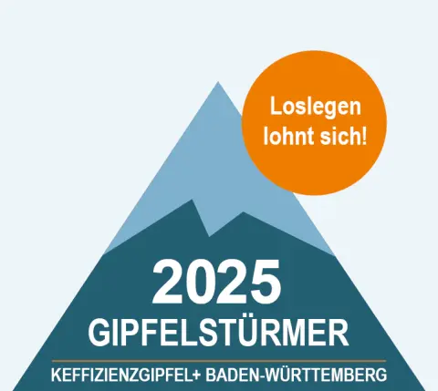 Preis Keffizienzgipfel