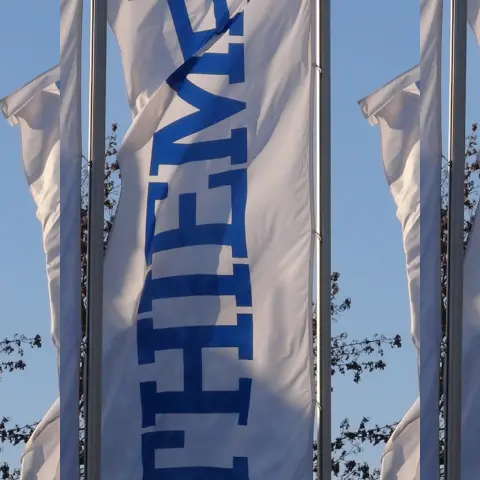 Thieme Firmenflaggen